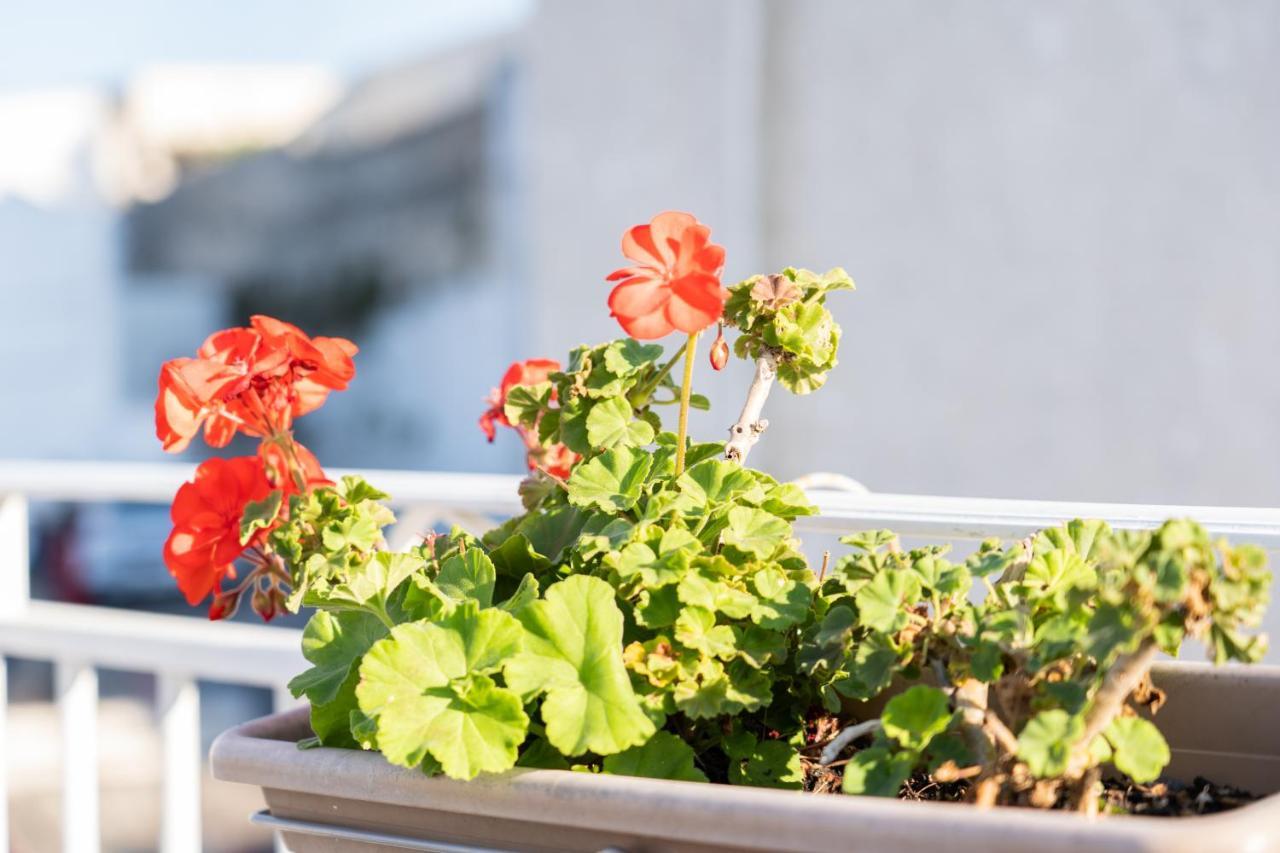 Apartmán Casa La Calce Ostuni Exteriér fotografie